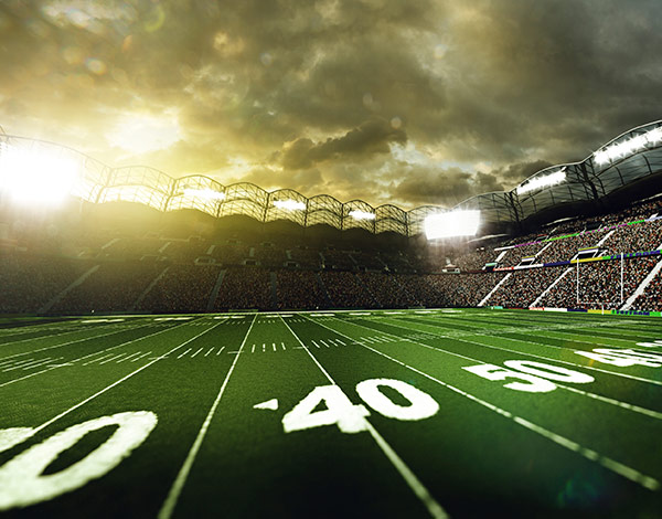football field stadium spectator crowd team turf competitive grass