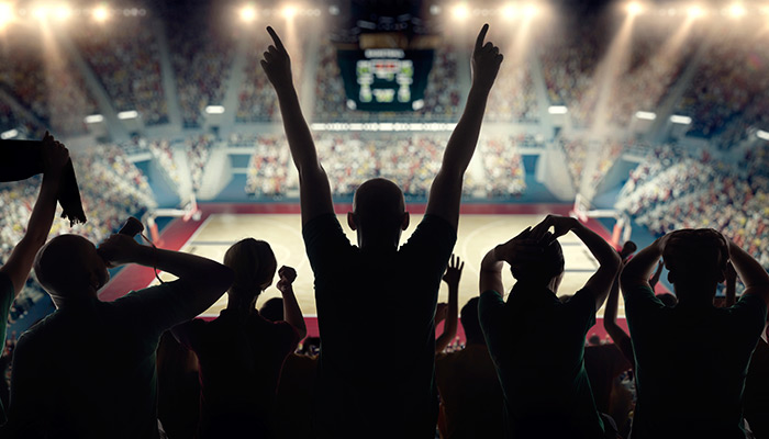 sports, fans, basketball, arena, worship, audience, people, gym